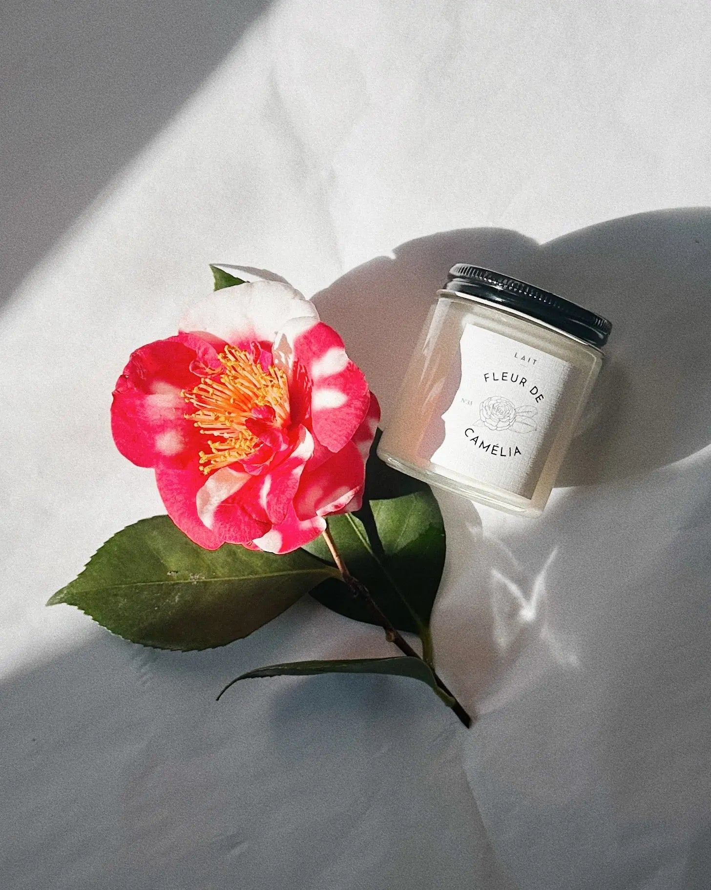 N°33 FLEUR DE CAMÉLIA TRAVEL JAR CANDLE SHOP LAIT