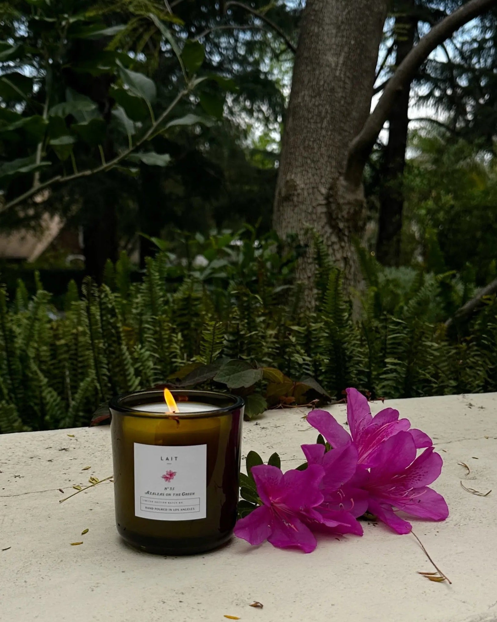 N°35 AZALEAS ON THE GREEN SHOP LAIT