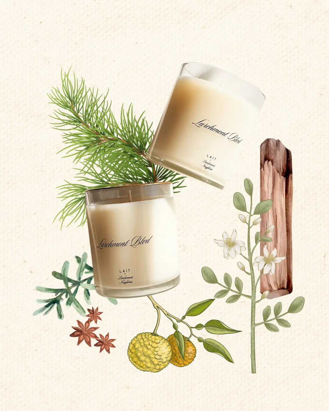 THE LARCHMONT BLVD CANDLE (LIMITED EDITION EXCLUSIVE) SHOP LAIT